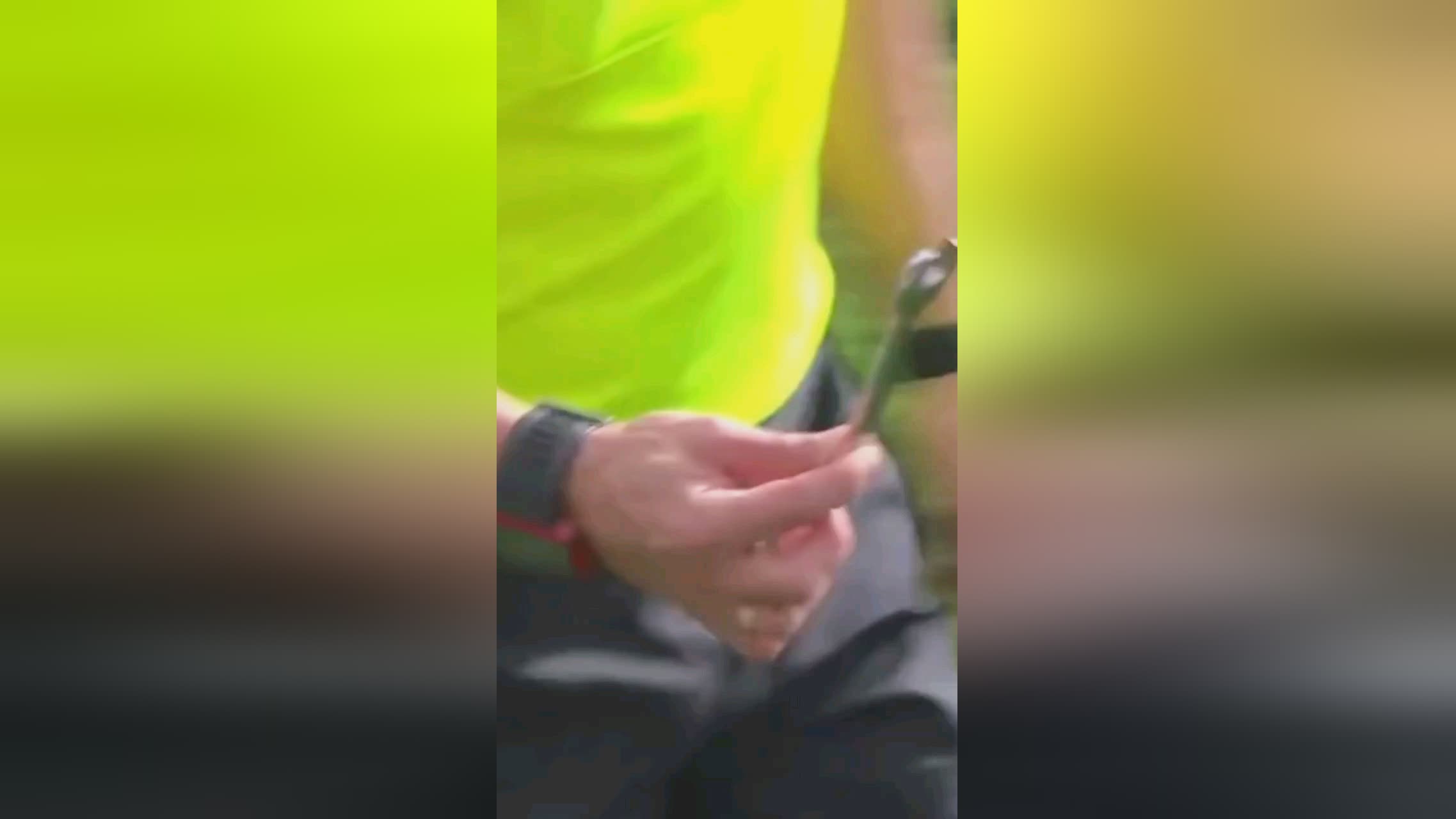 生活
